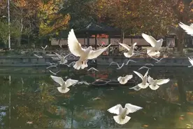 拿锻炼干部说事儿，就是耍流氓图片
