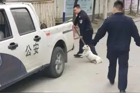 西安高新警方集中整治不文明养犬行为，你身边也有这类行为吗？图片