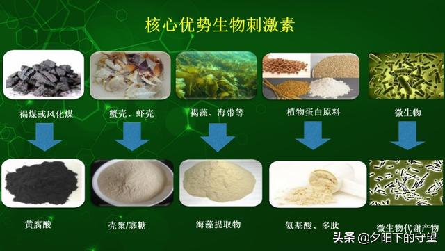 植物生物刺激素的常见分类，你都知道吗？