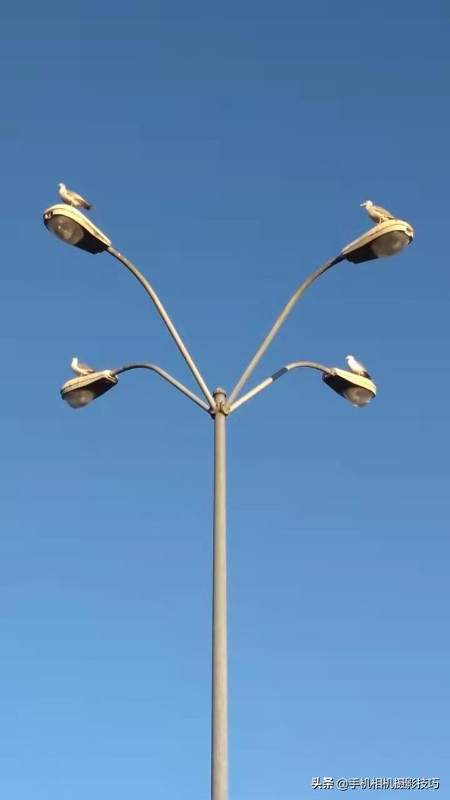 15ͨĳĺƬҲĵòÿԸʮ