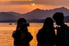 “迟来的深情 比草贱”图片