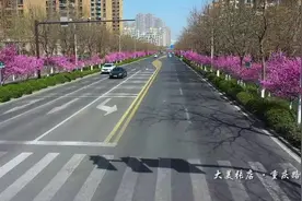 粉了粉了！张店这两处太美！快去打卡~图片