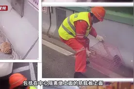 独家述评｜故事中的上海温度图片