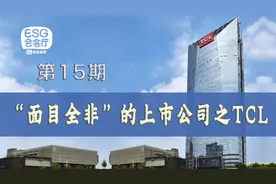 “面目全非”的公司之TCL：鹰的重生图片