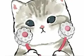 治愈系萌猫头像第二波，萌出新高度图片