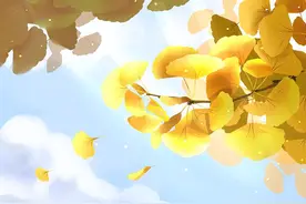 在这些方面保持低调的人，往往不简单图片