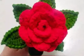 一片式玫瑰花钩针图解，可做盆栽，花束，简单易钩适合新手图片