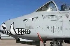 俄乌战争美援助hom攻击武器A-10疣猪攻击机图片