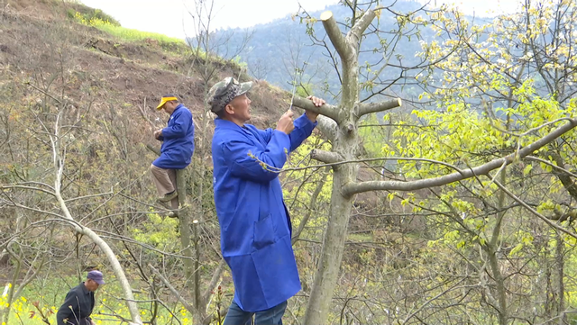 四川省民生研究会新媒体中心-官网