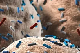 派特灵科普|平衡微生态有利于阻断HPV持续感染图片