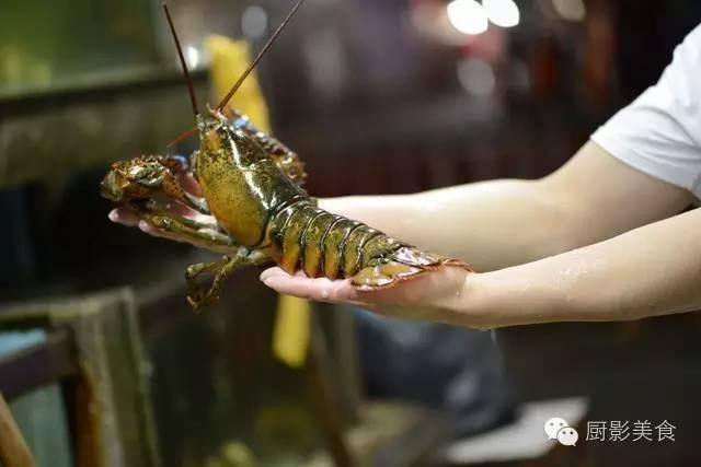 花胶选几级的 花胶等级顺序鱼胶排名大全