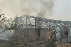 鸭棚起火，千余只鸭子成“烤鸭”…图片