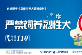 关于公布常州市禁止饲养、销售的烈性犬名录的通告图片