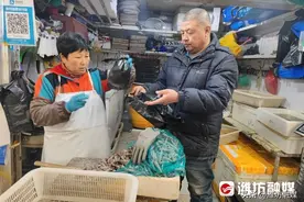 清晨六点看潍坊丨媳妇爱吃海鲜，他开了一家海鲜店图片