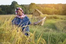 我善良爱哭的小姑，一生谨小慎微，没有自我，在特殊日子骤然而逝图片