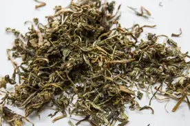 喝蒲公英茶能消散乳腺结节吗？查出结节后，3物或是结节“帮凶”图片