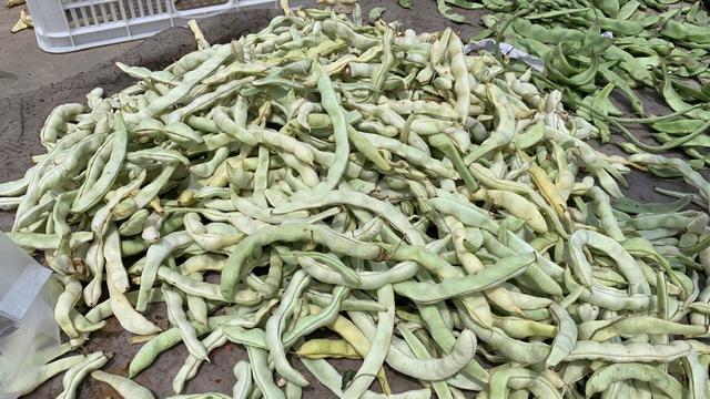 冻豆角怎么炖的吃（夏天）