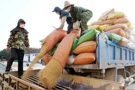 1949-2005年交过公粮的农民，如今能领到多少养老金？答案来了！图片