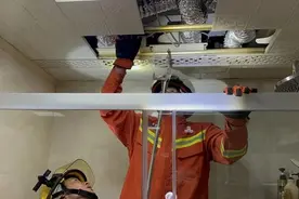 “我被毒蛇咬了！”杭州大哥教科书般自救！近期高发，这些地方别去图片