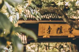 “寺”和“庙”根本不是一回事，很多人都拜错了图片