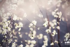 回首2022，开启2023：心怀美好，脚步铿锵图片