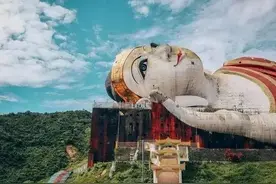 24张令人头皮发麻的“巨物”照片，看完直呼：巨物恐惧症犯了图片