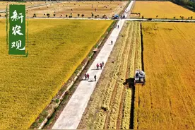 5月1日起，农村承包地合同有了新规定！家里有地的要注意了图片