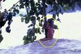24年前洪水中抱树获救的小女孩，现在怎么样了？图片