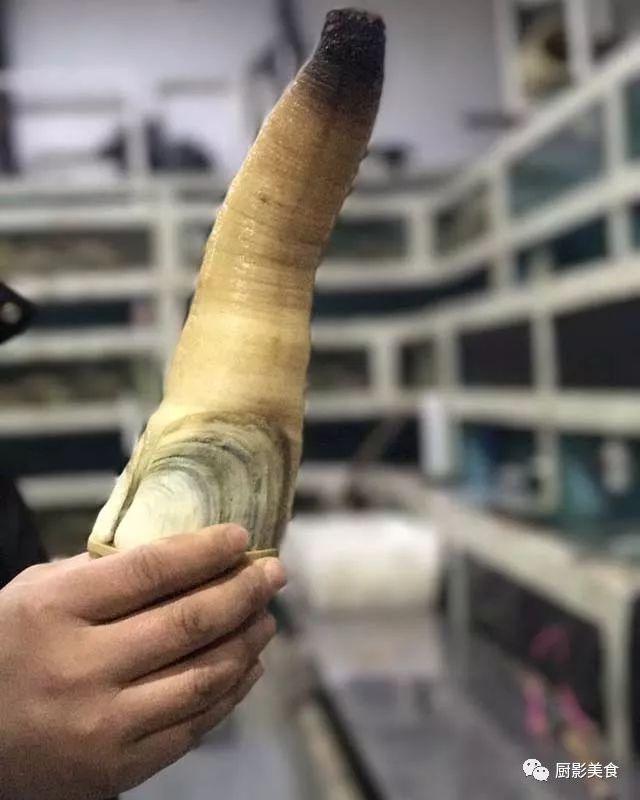 40头的花胶是几级 2025年花胶40头是什么意思?