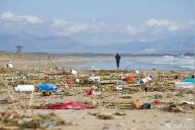 塑料污染 | 了解关于塑料的五个事实，一起“塑战速决”！图片