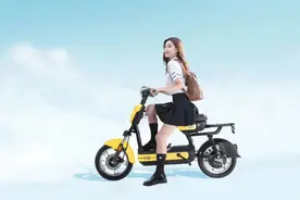 终于知道！电动车“越贵”和“越便宜”，区别有多大？怎么选划算图片