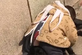 山东萌娃扑倒晒太阳的狗子，狗子生无可恋，满脸都是对萌娃的嫌弃图片