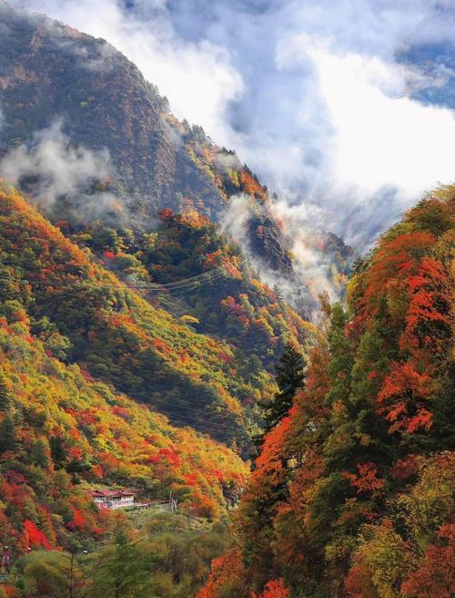 免费！免费！彭州这4个地方彩林已红透，错过等一年！