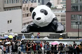 成都：人造网红，还能红多久？图片