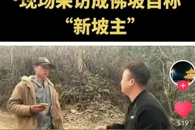 成佛坡彻底凉凉，好白菜被猪拱了，返乡创业须谨记图片