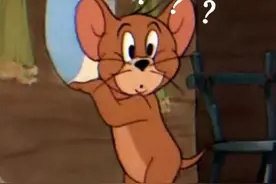 猫和老鼠系列表情包第一弹图片