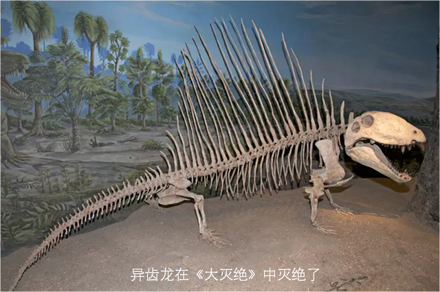 一文读懂地球历史上五次生物大灭绝的时间、规模和原因