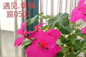 60岁老人要再婚，儿媳：彩礼必须要6万图片