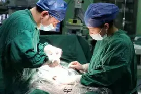 省妇幼保健院多学科联动 助外籍危重产妇顺利分娩图片