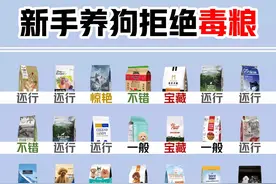 新手养狗别再给狗狗喂“毒”粮啦！整理出来几十款狗粮赶紧避雷图片