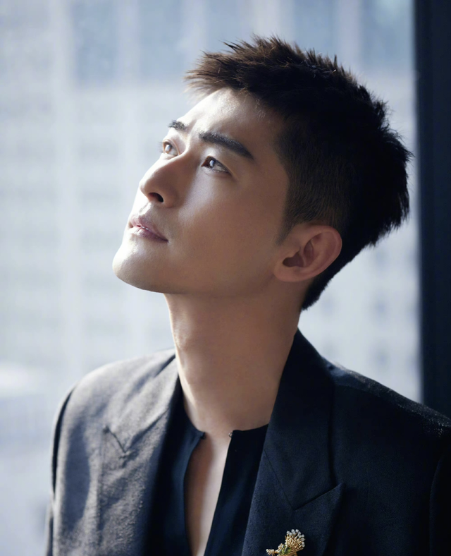 张翰的眼睛图片(拖行交警致残) - 经验百科大全