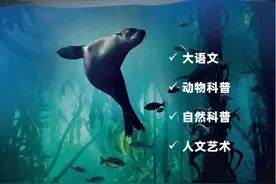 央视力荐的16个纪录片，每一部都值得带娃看N遍图片