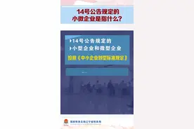 14号公告规定的小微企业是指什么？图片