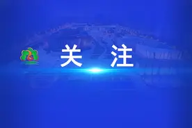 更便利！六合人这些证可以线上办图片