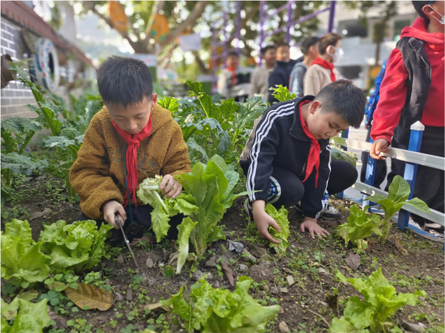 四川省民生研究会新媒体中心-官网