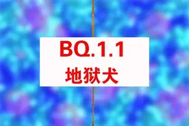 “地狱犬”是什么？比奥密克戎厉害嘛？知道2点，提前做好应对图片