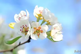 有一种人，就算关系再好，也不要深交图片