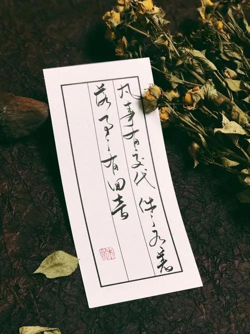 散文：人生过半，学会静而不争，淡然从容