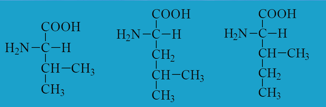 鏀摼姘ㄥ熀閰镐綔涓鸿€佸勾钀ュ吇鍏抽敭鍏辫瘑锛岀珶琚編涓撳鍚﹀畾锛熻惀鍏诲笀鏉ヨВ璇? onerror=