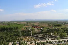 树葬公墓是什么样的？石家庄哪有树葬公墓？图片